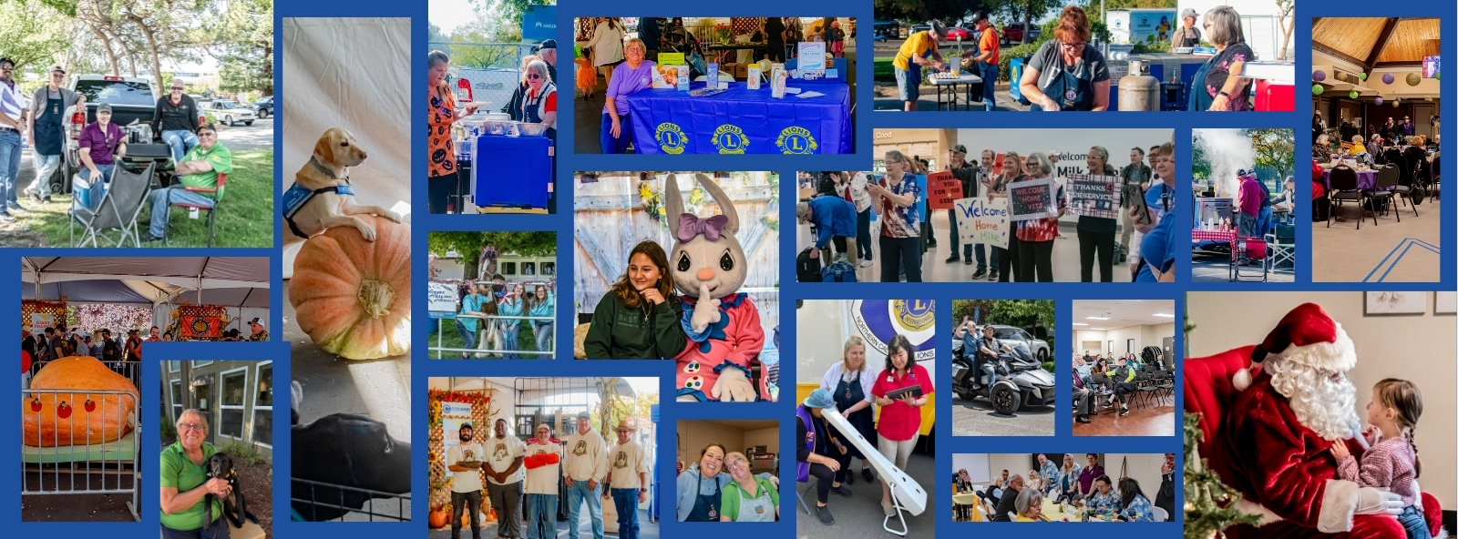 Pride Of Laguna Creek Lions