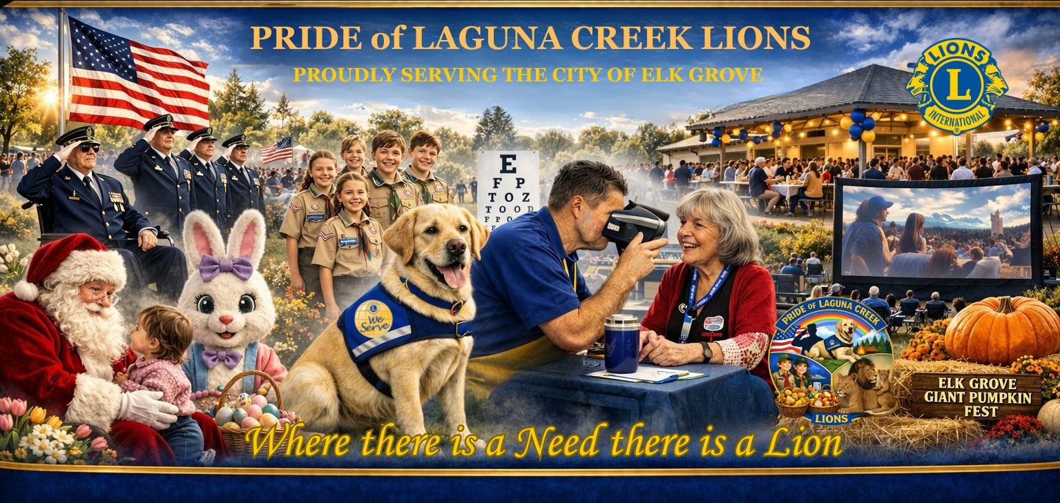 Pride Of Laguna Creek Lions