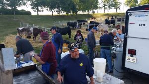 20150524 071421-300x169