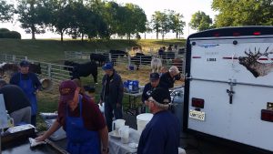 20150524 071438-300x169